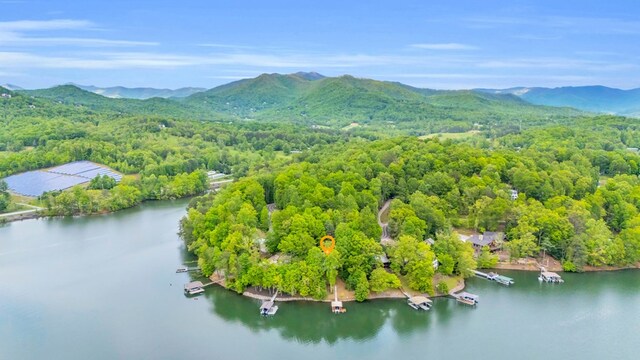 bird's eye view of a water and mountain view and a forest