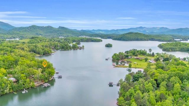 aerial view of a water and mountain view