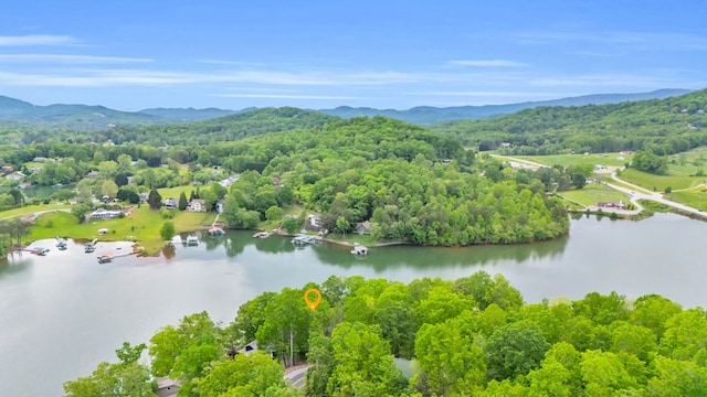 aerial view of a water and mountain view and a forest