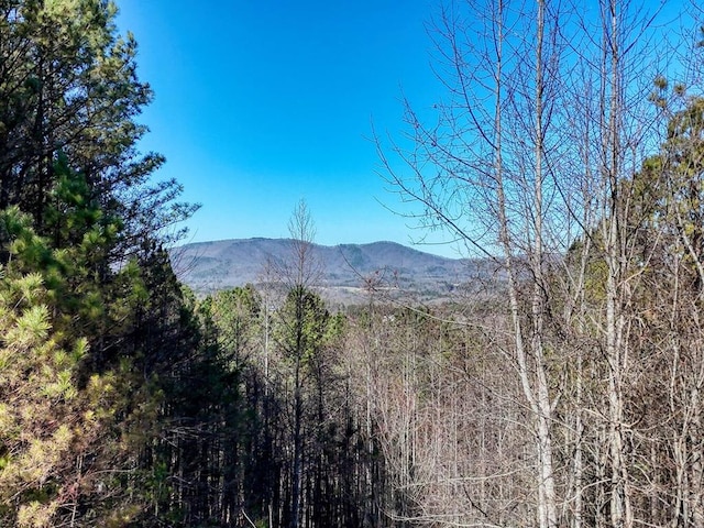 LOT24 Loftis Mtn, Blairsville GA, 30512 land for sale