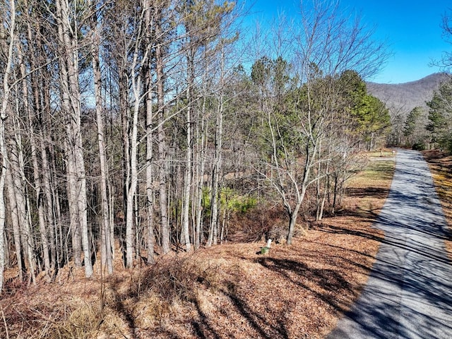 Listing photo 3 for LOT24 Loftis Mtn, Blairsville GA 30512