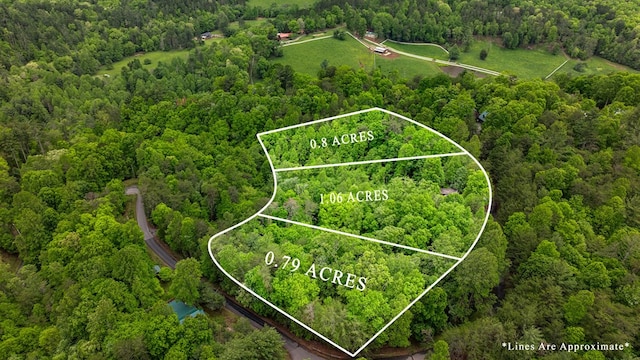35 The Blf, Morganton, GA 30560 - view of property location featuring a forest and property parcel outlined