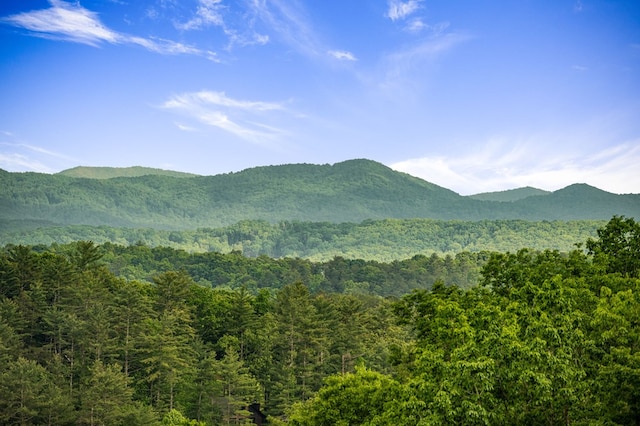 35 The Blf, Morganton, GA 30560 - mountain view with a heavily wooded area