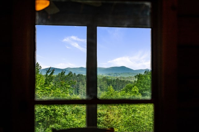 35 The Blf, Morganton, GA 30560 - detailed view of a mountain view