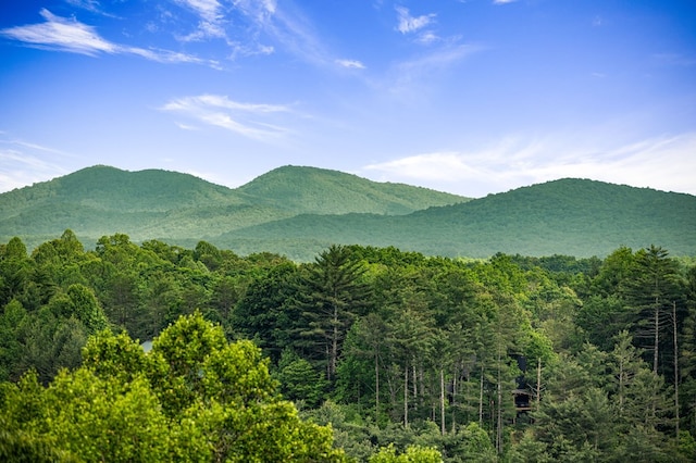 35 The Blf, Morganton, GA 30560 - view of mountain backdrop with a heavily wooded area