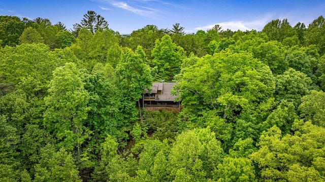 35 The Blf, Morganton, GA 30560 - aerial view of property and surrounding area featuring a heavily wooded area