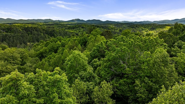 35 The Blf, Morganton, GA 30560 - view of mountain background featuring a forest