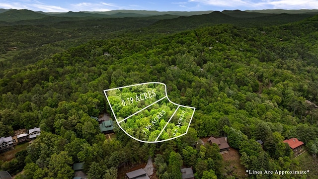 35 The Blf, Morganton, GA 30560 - aerial view of property and surrounding area with a forest, property boundaries highlighted, and mountains