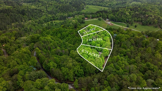 35 The Blf, Morganton, GA 30560 - view of property location with a heavily wooded area and property parcel outlined