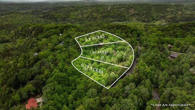 35 The Blf, Morganton, GA 30560 - aerial view of property and surrounding area with a heavily wooded area and property parcel outlined