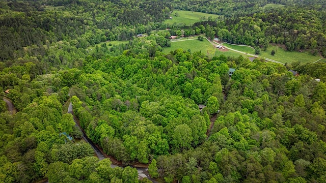 35 The Blf, Morganton, GA 30560 - aerial overview of property's location with a heavily wooded area