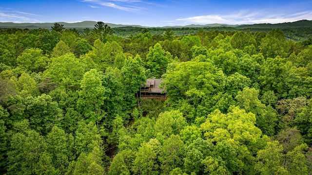 35 The Blf, Morganton, GA 30560 - drone / aerial view of a forest and a mountain backdrop