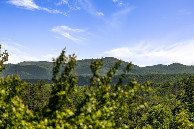 35 The Blf, Morganton, GA 30560 - view of mountain background