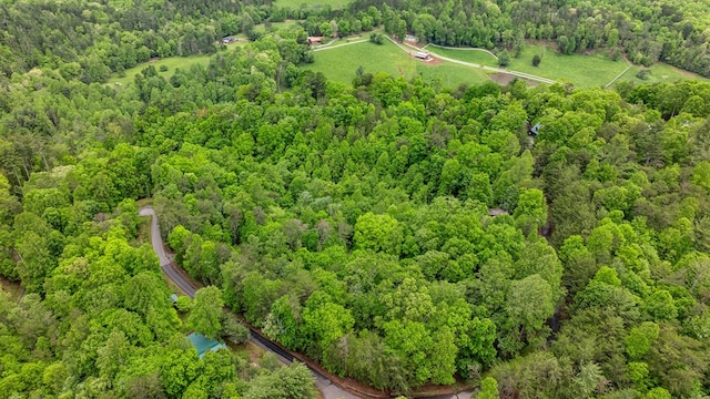 35 The Blf, Morganton, GA 30560 - view of property location featuring a heavily wooded area