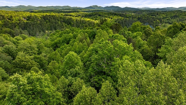 35 The Blf, Morganton, GA 30560 - view of mountain background with a heavily wooded area