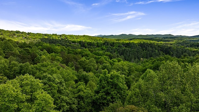 35 The Blf, Morganton, GA 30560 - mountain view with a heavily wooded area