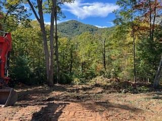 LOT74 Mine Cart Trl, Blairsville GA, 30512 land for sale