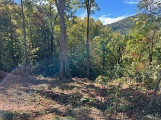 Listing photo 2 for LOT74 Mine Cart Trl, Blairsville GA 30512