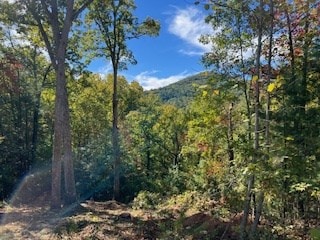 Listing photo 3 for LOT74 Mine Cart Trl, Blairsville GA 30512