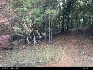 LT373 Armor Way N, Ellijay GA, 30540 land for sale