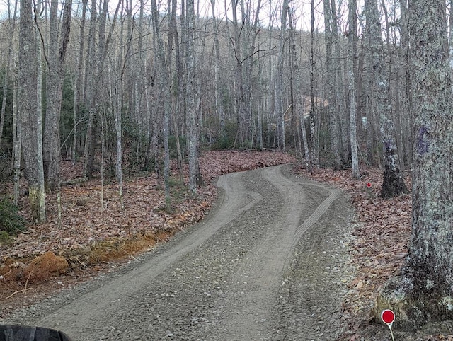 view of road