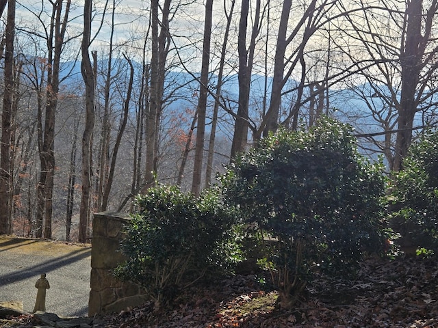 1102 Summit Way, Blairsville, GA 30512 - view of yard