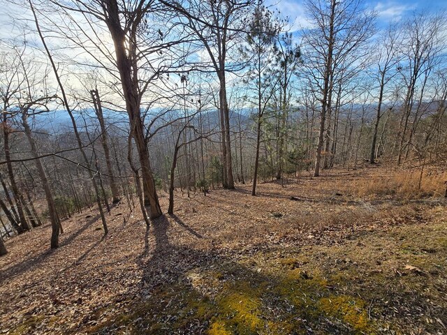 1102 Summit Way, Blairsville, GA 30512 - view of wooded area