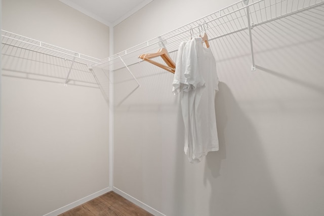 spacious closet featuring wood finished floors