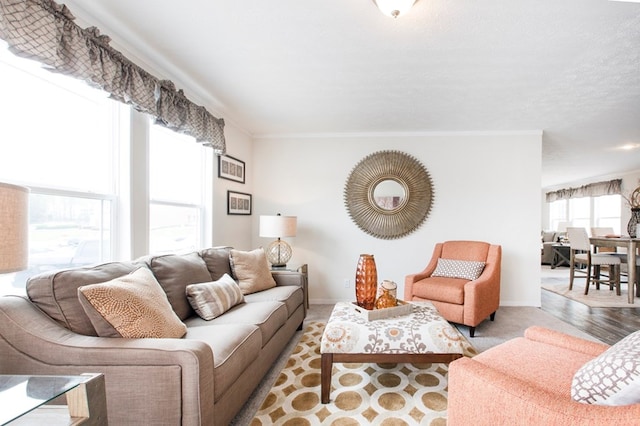 living area featuring crown molding and baseboards