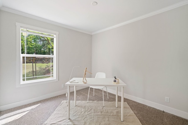 carpeted office featuring baseboards and ornamental molding
