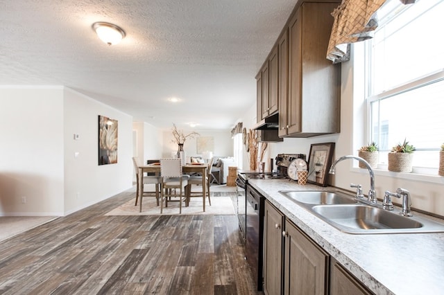 kitchen featuring under cabinet range hood, dark wood-style flooring, a wealth of natural light, and a sink