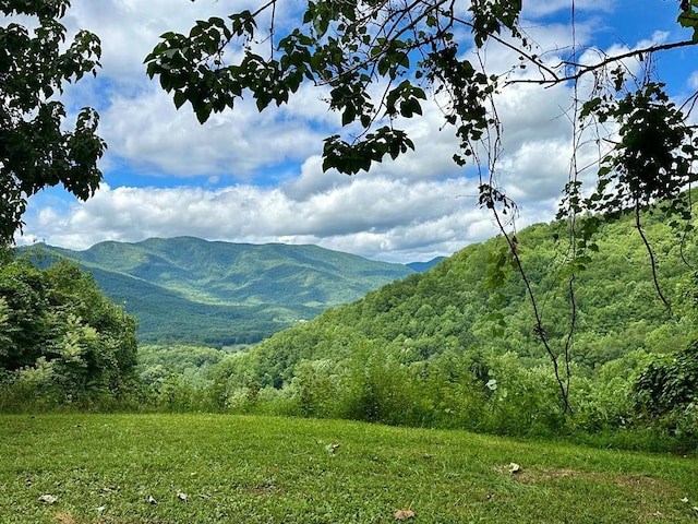 LOT32 Shiloh Trl, Hayesville NC, 28904 land for sale