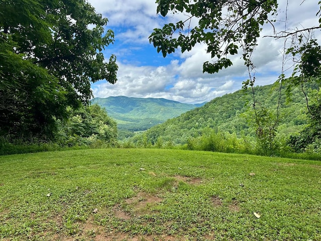 Listing photo 3 for LOT32 Shiloh Trl, Hayesville NC 28904