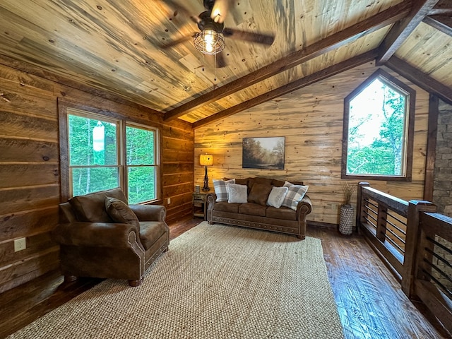 340 Hooch Holler Ln, Morganton, GA 30560 - living room with plenty of natural light, dark wood-style floors, wooden ceiling, wooden walls, and a ceiling fan