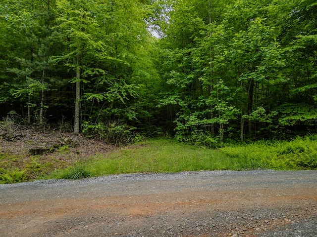 1.8ACRE Mangums Trl, Blue Ridge, GA 30513