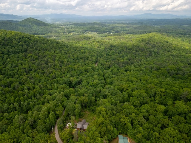 1.8ACRE Mangums Trl, Blue Ridge, GA 30513