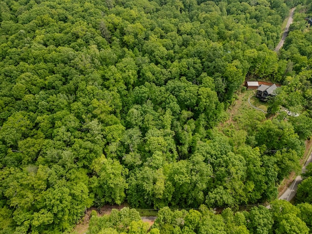 1.8ACRE Mangums Trl, Blue Ridge, GA 30513