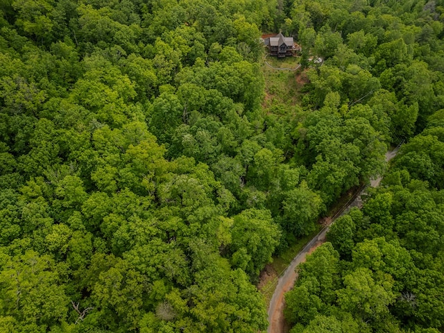 1.8ACRE Mangums Trl, Blue Ridge, GA 30513