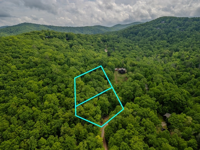 1.8ACRE Mangums Trl, Blue Ridge, GA 30513