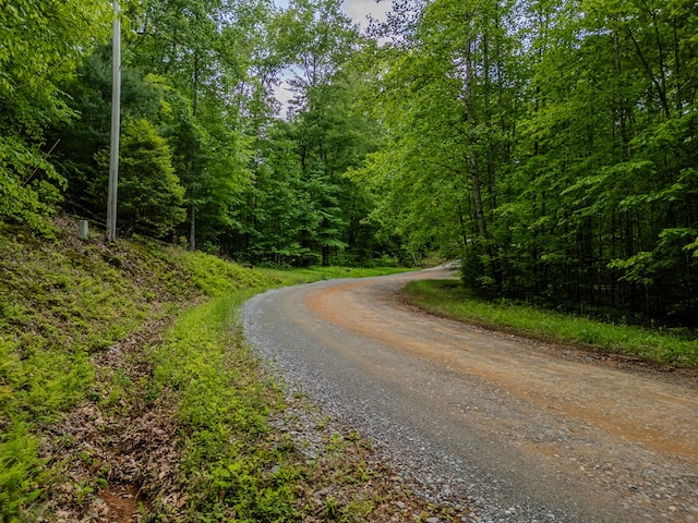 1.8ACRE Mangums Trl, Blue Ridge, GA 30513