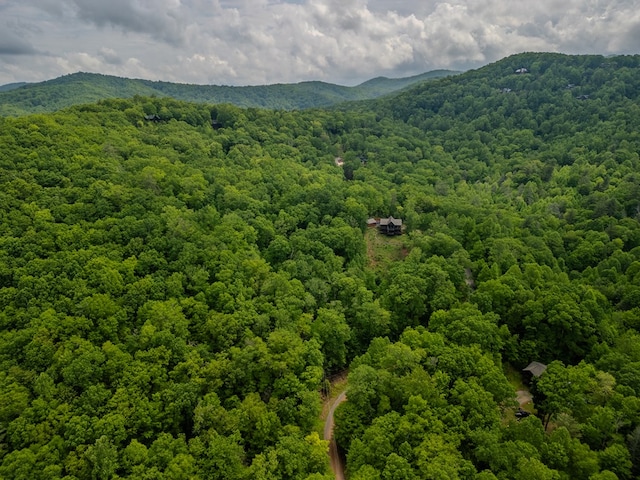 1.8ACRE Mangums Trl, Blue Ridge, GA 30513