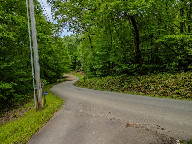 1.8ACRE Mangums Trl, Blue Ridge, GA 30513