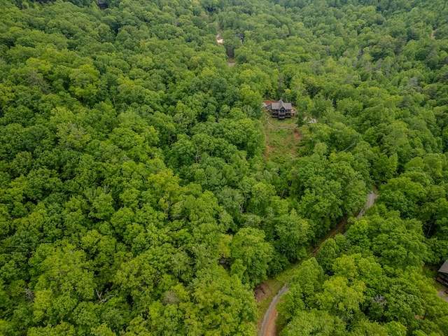 1.8ACRE Mangums Trl, Blue Ridge, GA 30513