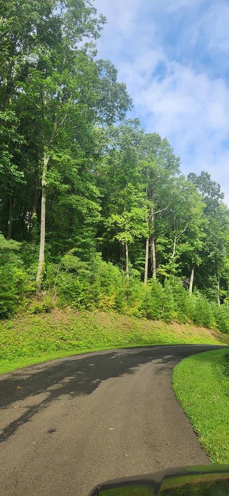 LT175 Trailwood Dr, Ellijay GA, 30536 land for sale