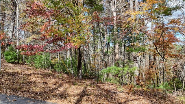 LOT332 Pocaset Dr, Ellijay, GA 30540