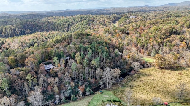 LOT332 Pocaset Dr, Ellijay, GA 30540