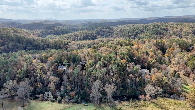 LOT332 Pocaset Dr, Ellijay, GA 30540