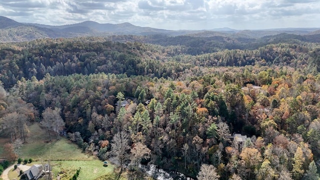 LOT332 Pocaset Dr, Ellijay, GA 30540
