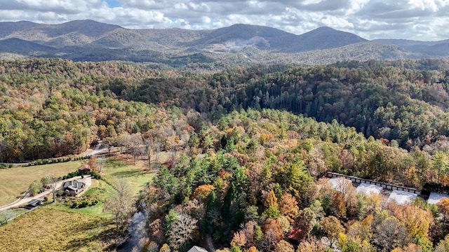 LOT332 Pocaset Dr, Ellijay, GA 30540