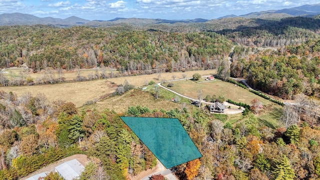 LOT332 Pocaset Dr, Ellijay, GA 30540